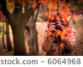 Autumn leaves 6064968