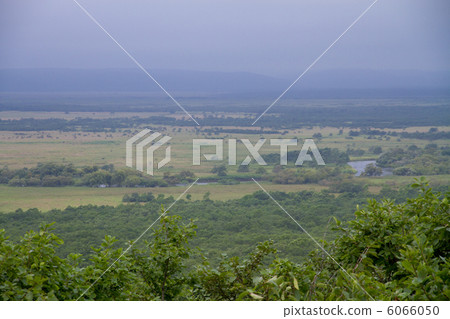 釧路沼澤 6066050