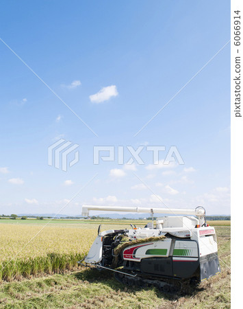 水稻收穫 6066914