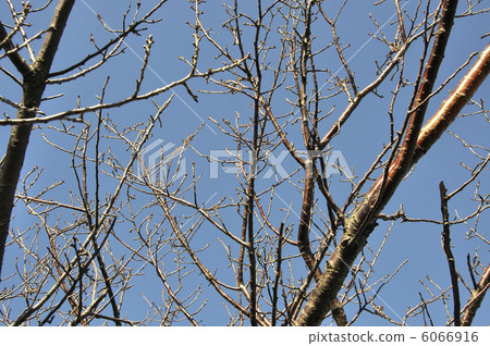 冬天的影子 6066916