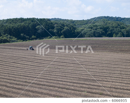 Field 6066935