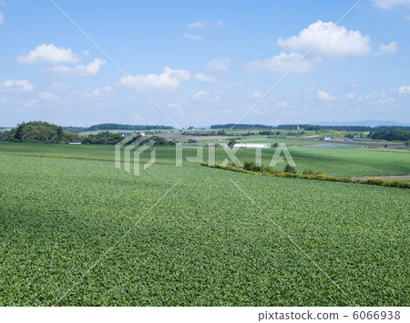 農業 農業 6066938
