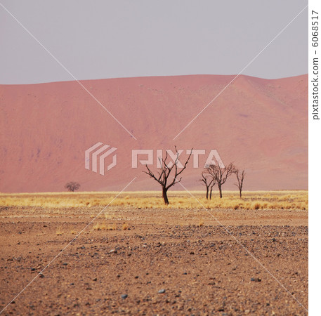 Namib Namib 6068517