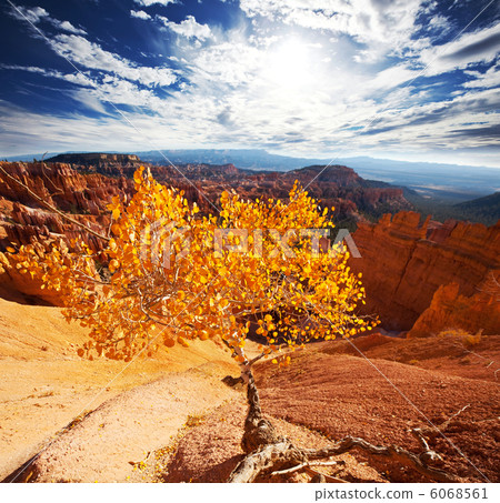 Autumn in Bryce Autumn in Bryce 6068561