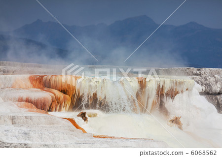 Mammoth Hot Spring Mammoth Hot Spring 6068562