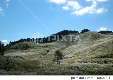 Tonomine Plateau　 6068901