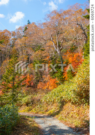 Late autumn scenery Late autumn scenery 6069724