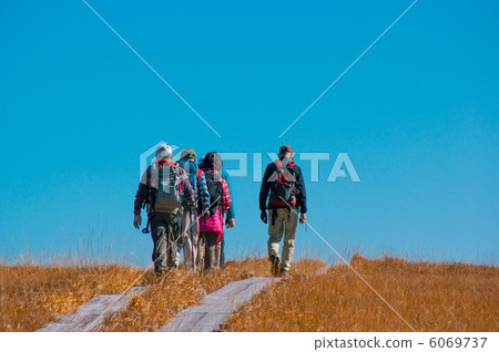 Walking on a tree road 6069737