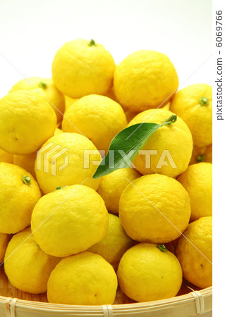 Yuzu Sakari 6069766