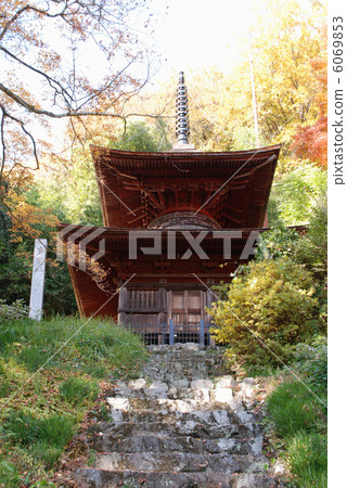 Towa Taisetsu Saitama ken 6069853