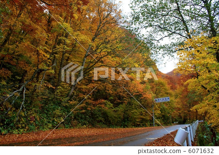National Highway No. 102 Autumn 6071632