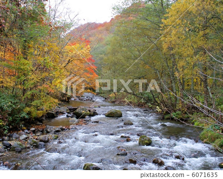 Hegawa stream 6071635