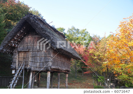 高樓住宅 6071647