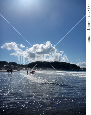 Timber Coast 6073158