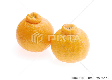 Dekopon（熊本縣的特產） 6073432