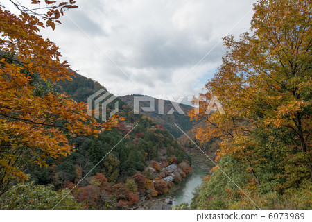 秋天的場景 秋天的場景 6073989
