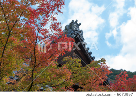 秋天的場景 秋天的場景 6073997