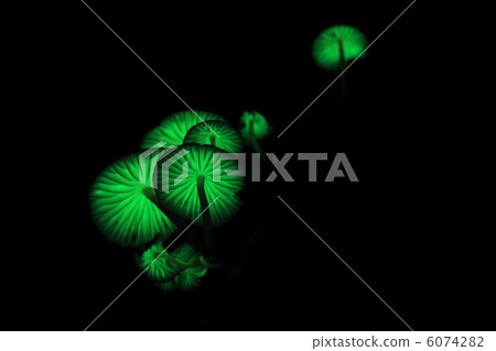 In the dark 6074282
