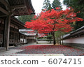 寺廟裡的秋葉 6074715