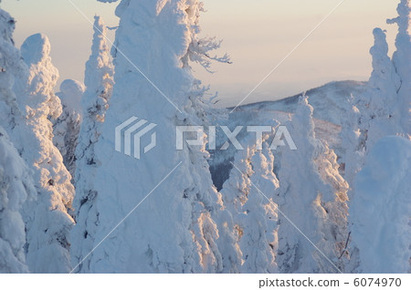frost covered tree, frost-covered tree, the arctic circle 6074970