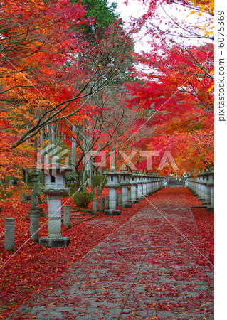 高山寺寺 高山寺寺 6075369