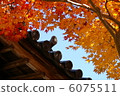 秋季樹葉和瓷磚 6075511
