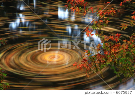 Autumn of the Rakugo Garden Autumn of the Rakugo Garden 6075937