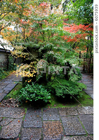 Autumn of the Rakugo Garden Autumn of the Rakugo Garden 6075939