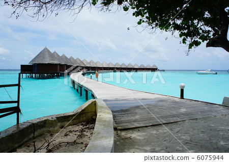 馬爾代夫 馬爾代夫 6075944