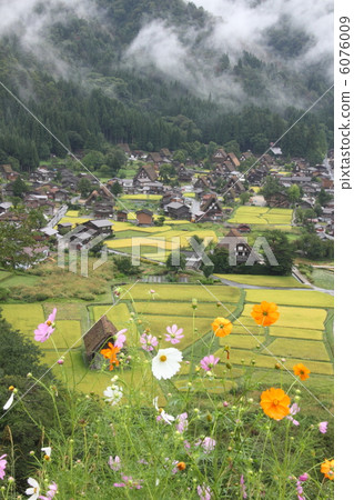Shirakawago Shirakawago 6076009