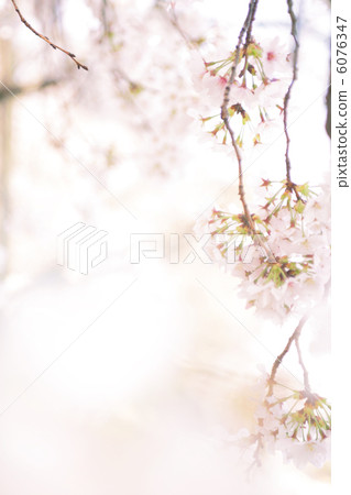 Cherry up uplifting 6076347