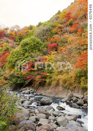 Autumn leaves in the valley 6076446