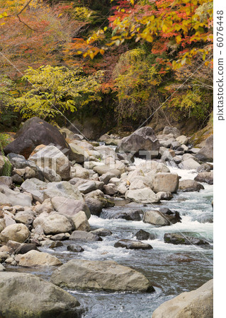 Autumn leaves in the valley 6076448