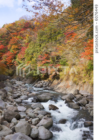 Autumn leaves in the valley 6076449