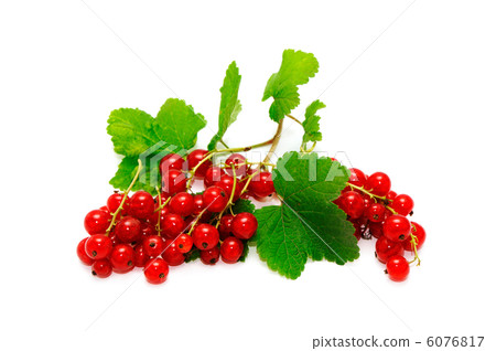 red currants isolated on white 6076817
