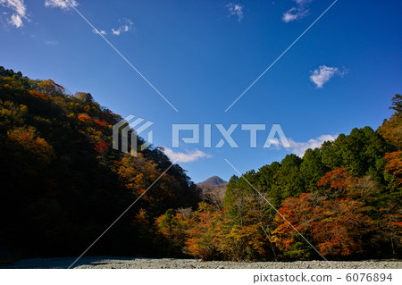 山葉』 山葉』 6076894