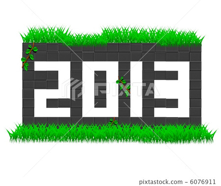 2013 2013 6076911