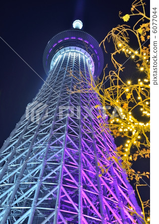 Sky Tree Winter Harassment Christmas 6077044