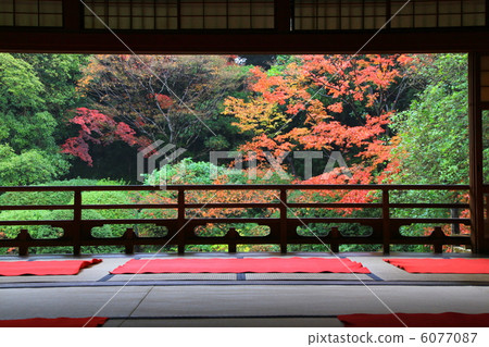 Fall of springs tei Fall of springs tei 6077087