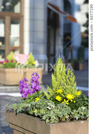 意大利街道的汐留街道 6077190