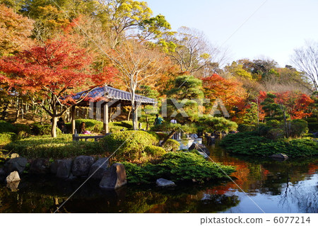 Oiso Shiroyama park immovable pond 6077214