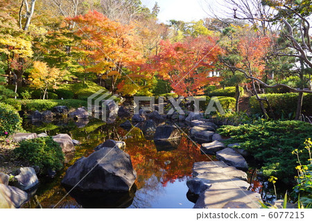 Oiso Shiroyama park immovable pond 6077215