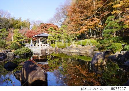 Oiso Shiroyama公園不動的池塘 6077217