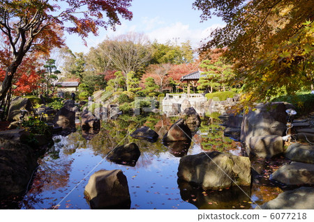 Oiso Shiroyama公園不動的池塘 Oiso Shiroyama公園不動的池塘 6077218