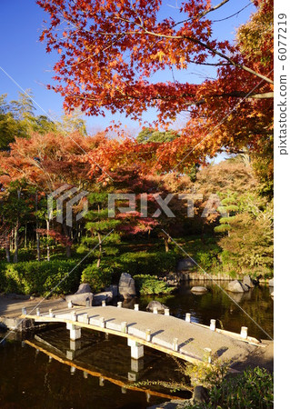 Oiso Shiroyama park immovable pond Oiso Shiroyama park immovable pond 6077219