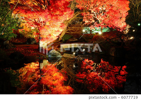 Kokoen Kokoen 6077719