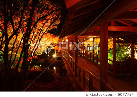 Koko-en公園 6077724