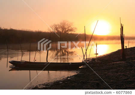 當Asagomotoku Watarase Seto 6077860