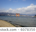 Otori at Itsukushima shrine 6078350
