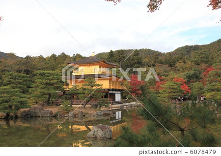 Kaenji金閣寺11月 Kaenji金閣寺11月 6078479